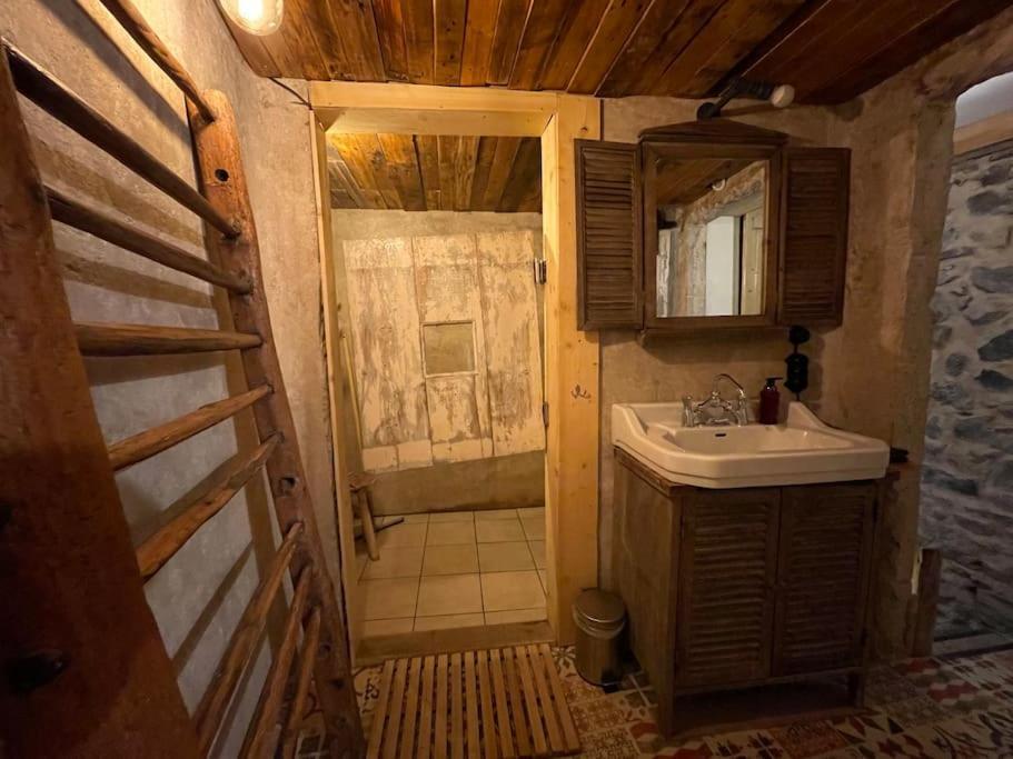 Maison Vigneron - Maison Et Studio Saint-Didier-sur-Beaujeu Экстерьер фото